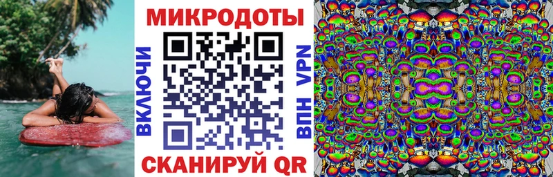 Псилоцибиновые грибы Cubensis  цены   Остров 